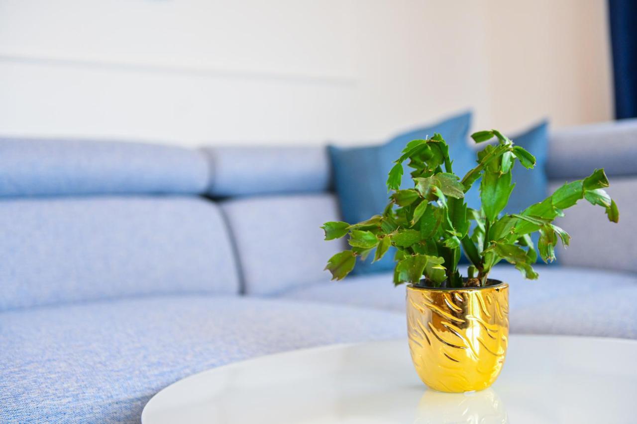 Nideho Estate Apartmani Zlatibor Ngoại thất bức ảnh